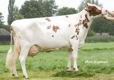 Alumette Red VG-89