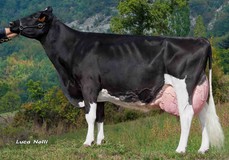 Aquila Goldwyn Win Aquila Goldwyn Win