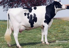 Art-Acres Aerostar Kay K-ET VG-87