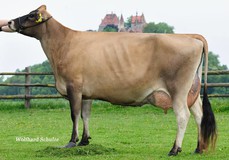 AS Evett PP VG-87