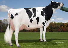 Bacon-Hill Delta Kansas-ET VG-88