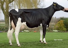 Barnkamper Marilyn 154 VG-88