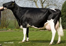 Barnkamper Marilyn 154 VG-88