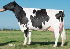 Baviere VG-87