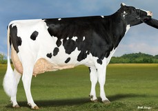 Bomaz Delta 7173-ET VG-88