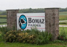 Bomaz Farms VG-85