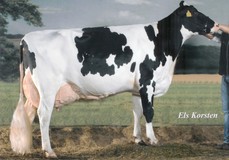 Bonhill Warsi 19 RDC EX-90
