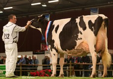 Bons-Holsteins Ella 158 EX-94 Bons-Holsteins Ella 158 EX-94