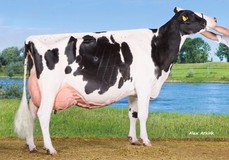 Bons-Holsteins Ella 158
