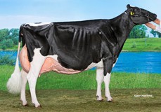 Bons-Holsteins Ella 192