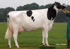 Broeks MBM Elsa EX-90