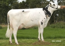 Broeks Elsie 3 VG-86