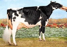 Butlerview Doorman Class EX-91 Butlerview Doorman Class EX-91