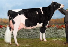 BVK Atwood Arianna EX-94