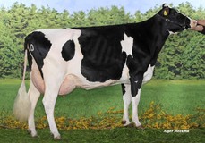 Caps Mairy 1 VG-85