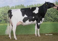 Caps Mairy 4 VG-85