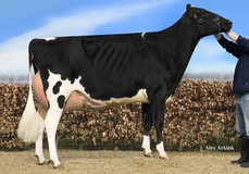 Carf Emeraude EX-91