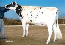 Carters-Corner Shot Melody EX-90 Carters-Corner Shot Melody EX-90