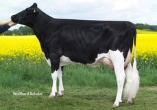 CAS Jameika VG-86 CAS Jameika VG-86