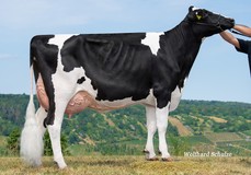 ZHA Comestar La Chica VG-85