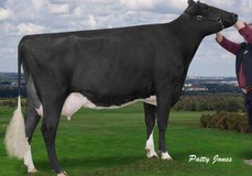Comestar Lautelma Igniter VG-89
