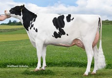 MS Pace Atlanta RDC VG-88