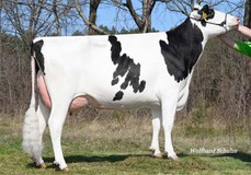 WEH Ballantines VG-88