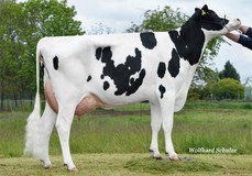 SHA Grumeti VG-87