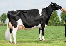 De Biesheuvel Javina 19 VG-88