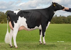 De Oosterhof 3STAR Margareth RDC