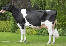 De Wijde Blik RS Betty 1 VG-85