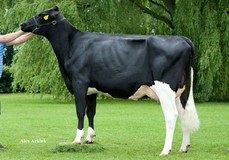 De Biesheuvel Javina 50 VG-87