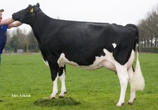 Manders Dellia 1 VG-87