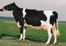 Delta Esmeralda VG-86