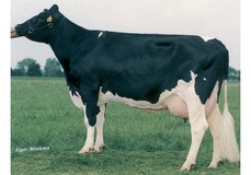 Delta Jabikje VG-85