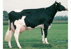 Delta Pearl VG-87