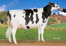 Delta Ria VG-88