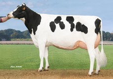 Delta Riana EX-91