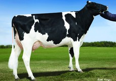 De-Su 520 VG-86