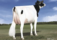 Des-Y-Gen Planet Silk EX-90