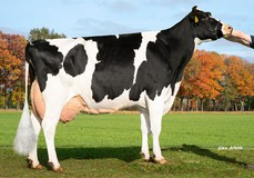 DG OH Donna RDC VG-89