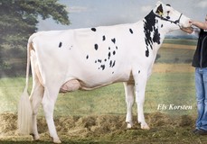 Diepenhoek Rozelle 25 VG-87