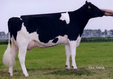 Diepenhoek Rozelle 4 VG-87