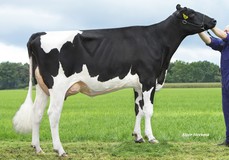 Diepenhoek Rozelle 65 VG-87