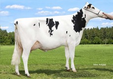 DKR Silence Secret RC VG-85