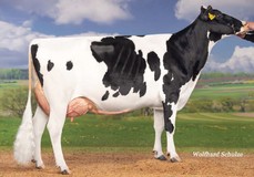 Doris VG-87