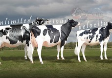 Drie generaties Our Favorite 'V' VG-88
