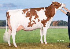 Drouner AJDH Aiko 1288 Red EX-91