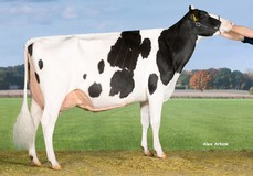 Drouner AJDH Cosmo EX-92