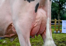 Drouner Cosmo 1836 VG-89